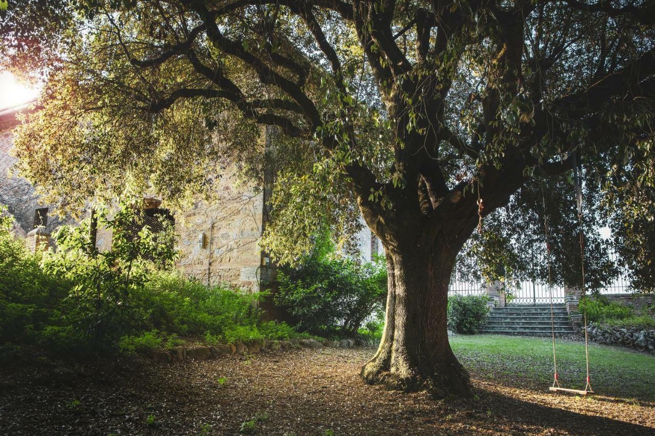 Cosona Villa Pienza Bagian luar foto